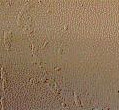 texture-sample1.jpg (7858 bytes)